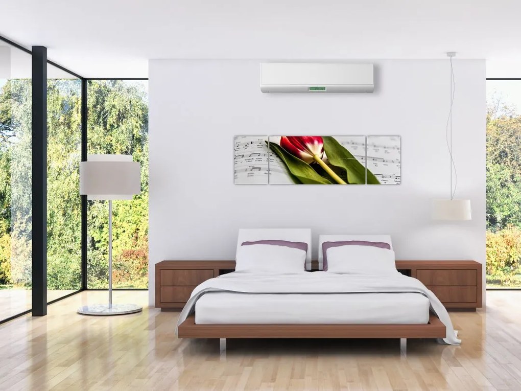 Obraz czerwonego tulipana (170x50 cm)