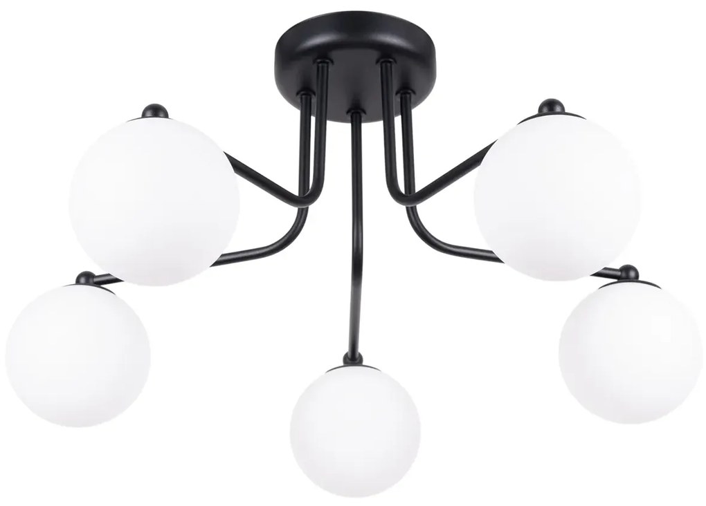 Czarna lampa sufitowa z 5 kloszami - M056 - Ana