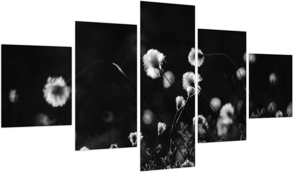 Obraz - Łąka z trawą bawełnianą N⁰1 (125x70 cm)