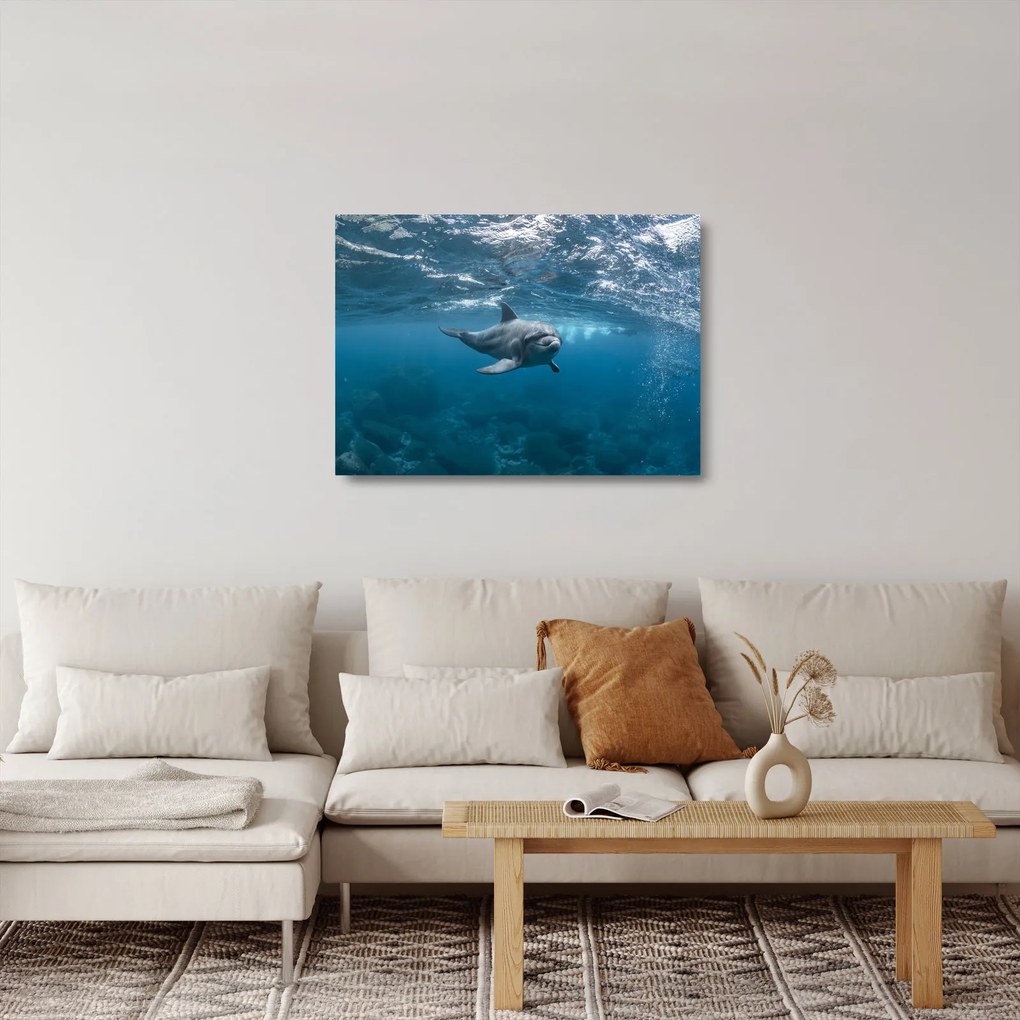 Obraz na szkle - Delfin pod wodą (70x50 cm)