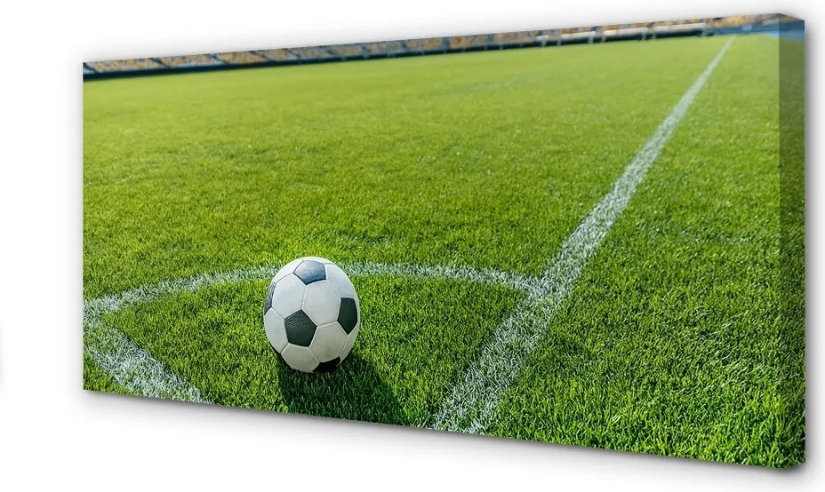 Zdjęcie na płótnie Stadionowa Arena Piłkarska