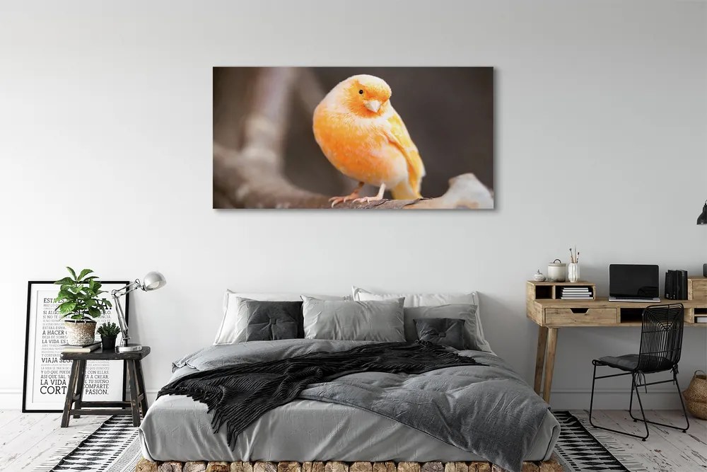 Obraz canvas na ścianę Papuga na Gałęzi