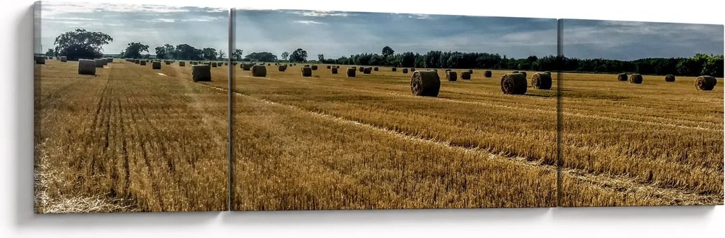 Obraz zebranego pola zboża (170x50 cm)