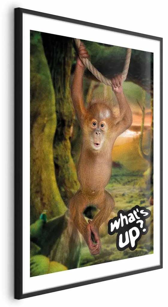 Plakat What's Up 29,7x42 cm z ramą czarną z marginesem ARTGEIST B