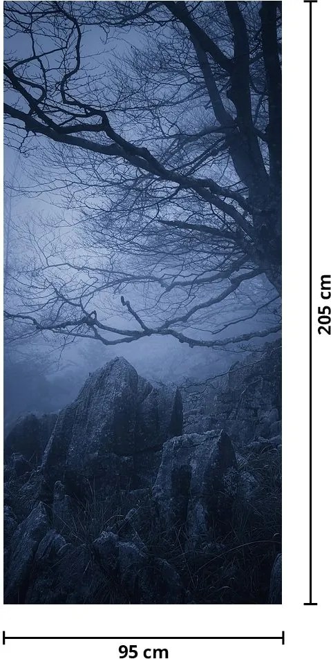 Fototapeta na drzwi - Ciemny las (95x205cm)