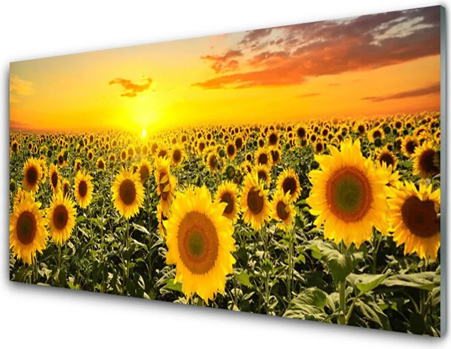 Panel Kuchenny Radosne Pole Słoneczników