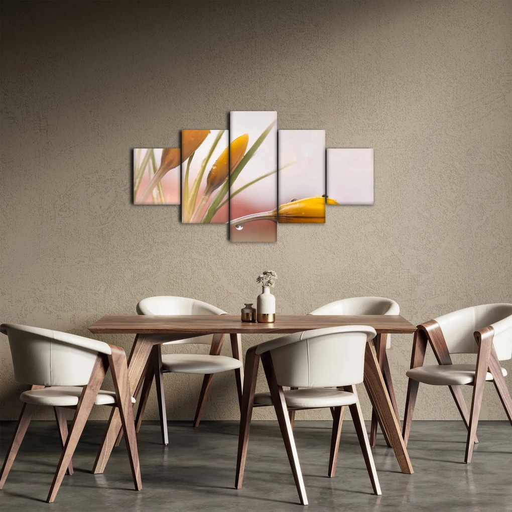 Obraz - Wiosenne kwiaty (125x70 cm)