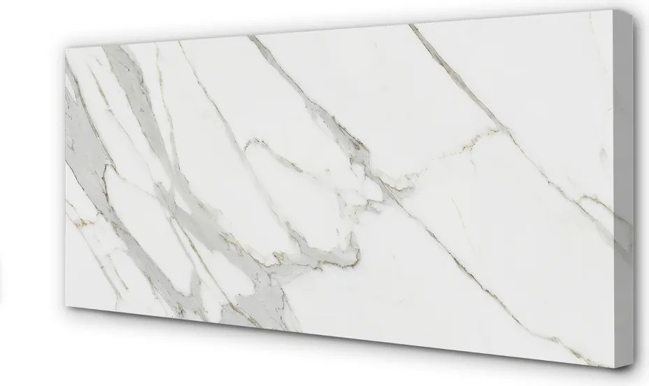 Obraz canvas na ścianę Organiczny Wzór Marmurowy