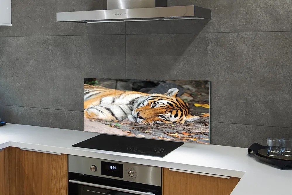 Szklany Panel Odpoczywający Tygrys