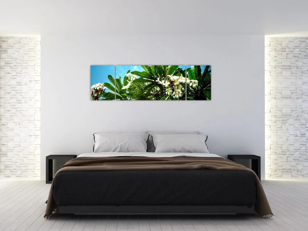 Obraz - Plumeria (170x50 cm)