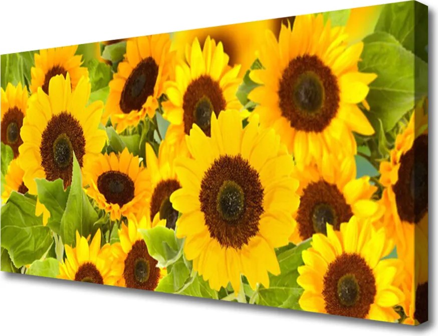 Fotoobraz na płótnie Radosne Słoneczniki