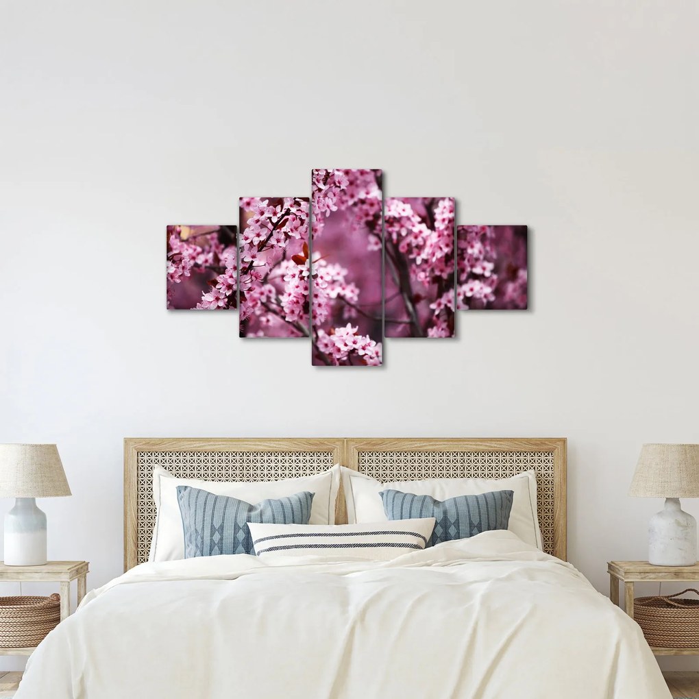 Obraz - Różowa sakura (125x70 cm)