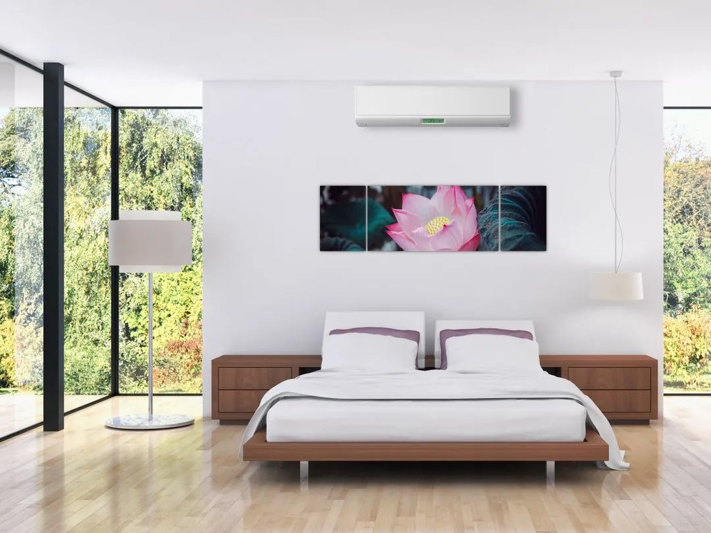 Obraz różowego kwiatu (170x50 cm)