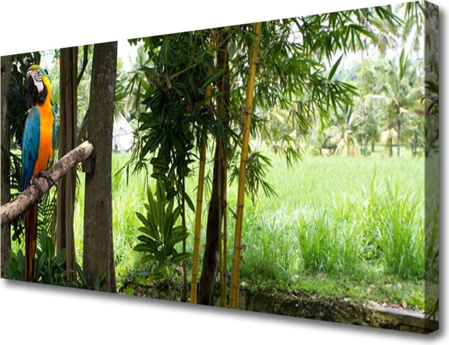 Fotoobraz na płótnie Egzotyczna Papuga w Dżungli