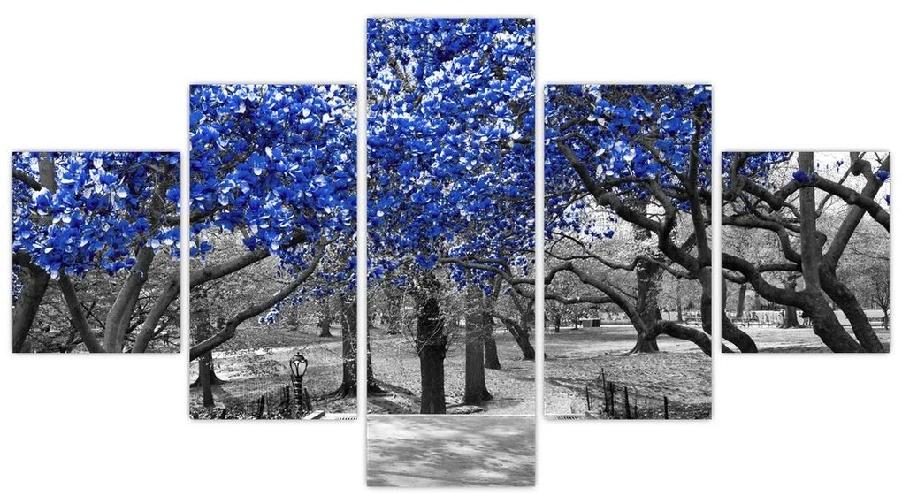 Obraz - Niebieskie drzewa, Central Park, New York (125x70 cm)