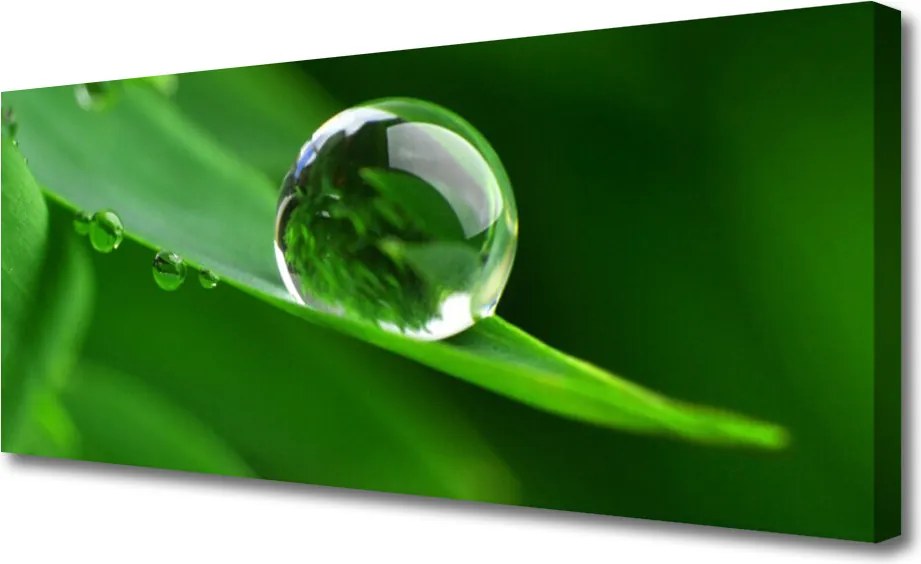 Zdjęcie na płótnie Krople Rosy na Liściu
