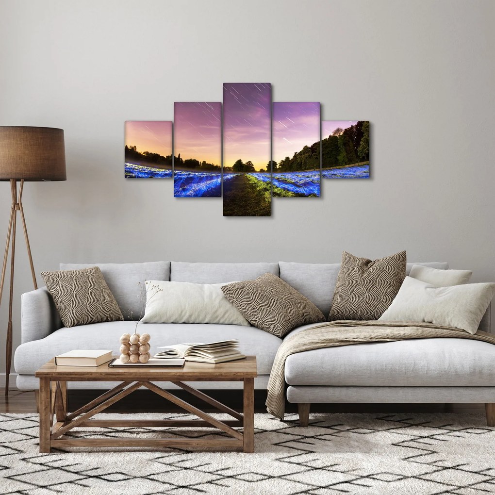 Obraz kolorowego pola (125x70 cm)