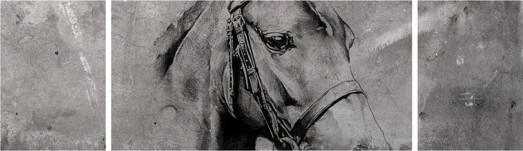 Obraz - Portret konia (170x50 cm)