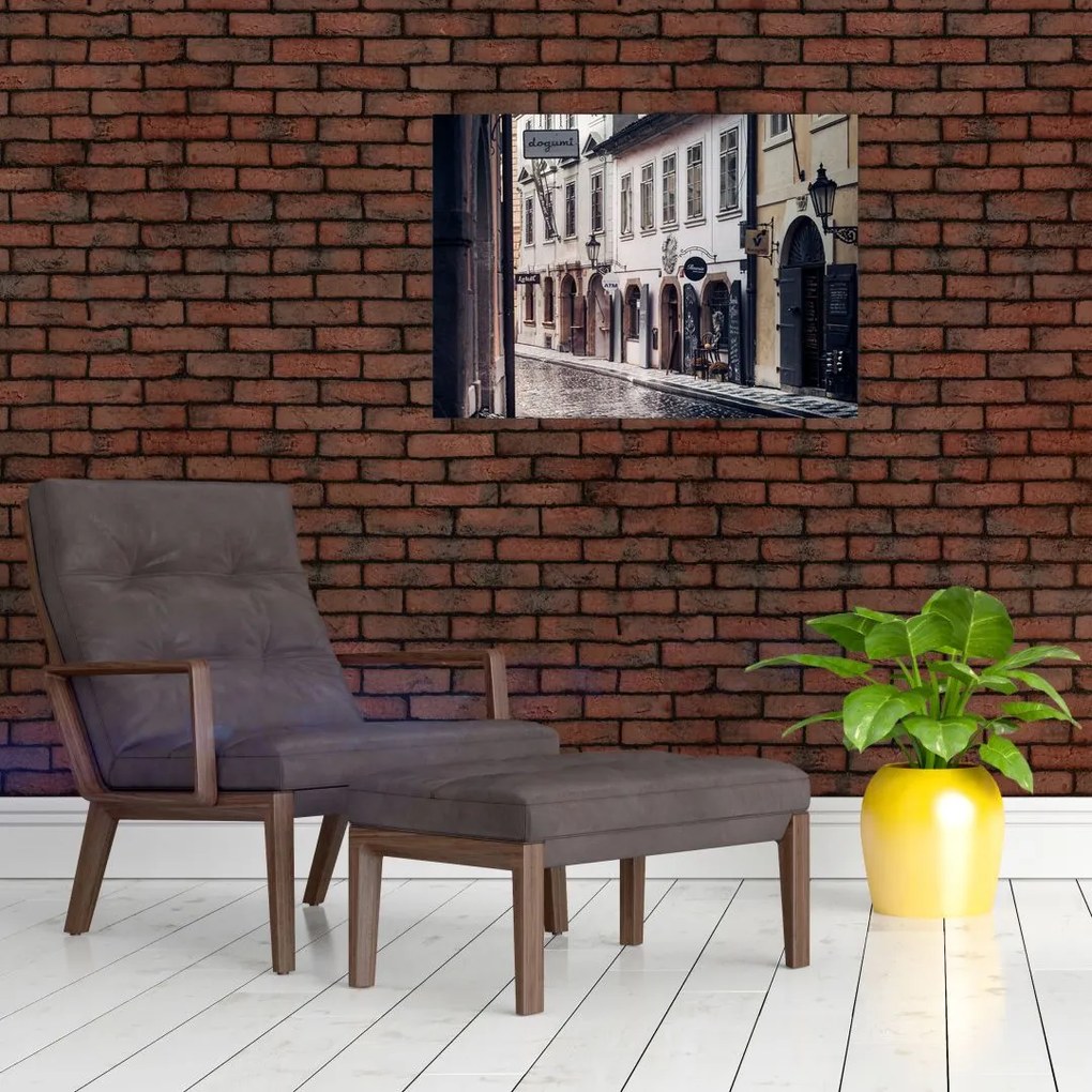 Obraz - Praska uliczka (70x50 cm)