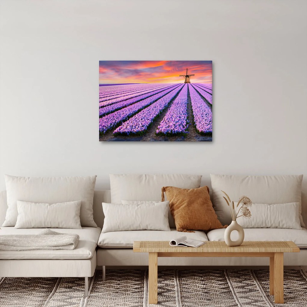 Obraz - farma kwiatów (70x50 cm)