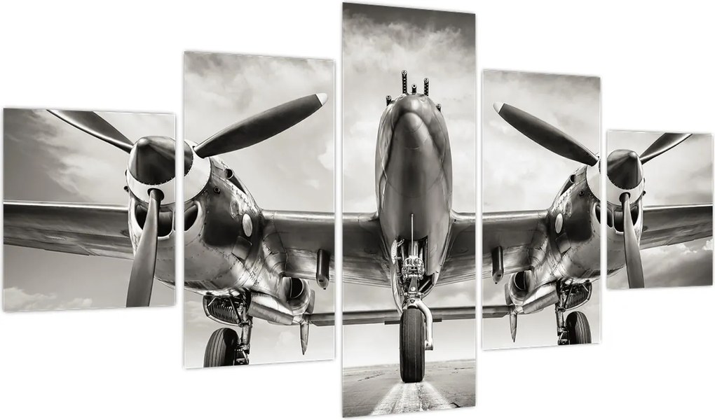 Obraz - Warbird (125x70 cm)
