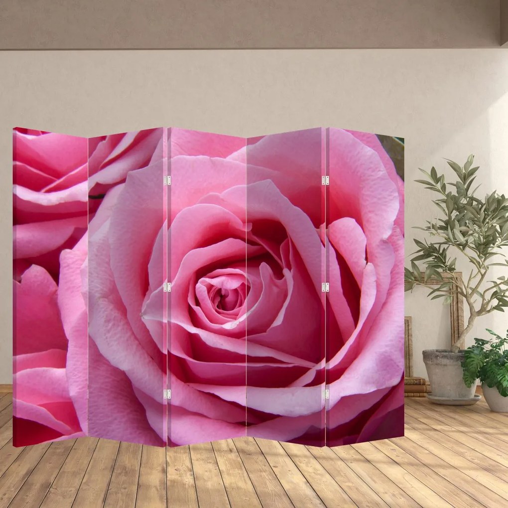Ekran - Róża (210x170 cm)