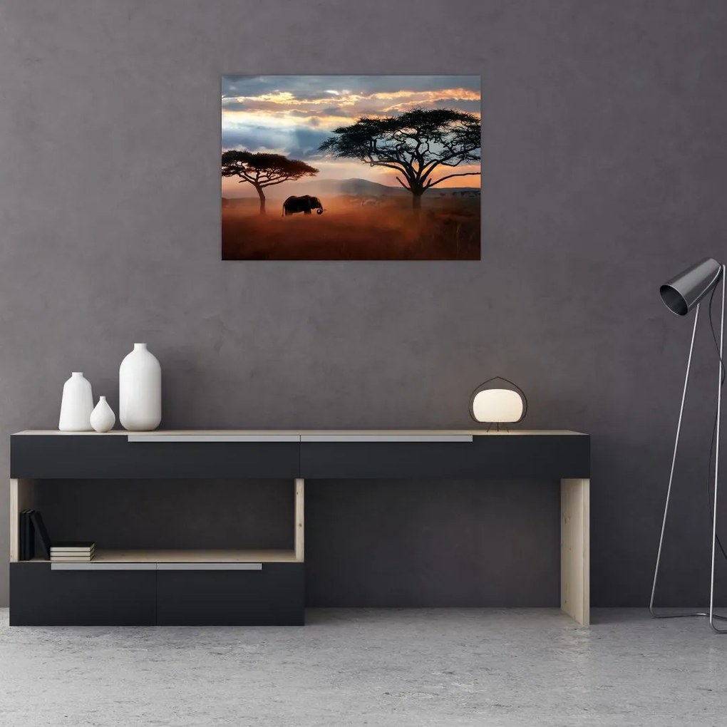 Obraz na szkle - Park Narodowy Serengeti, Tanzania, Afryka (70x50 cm)
