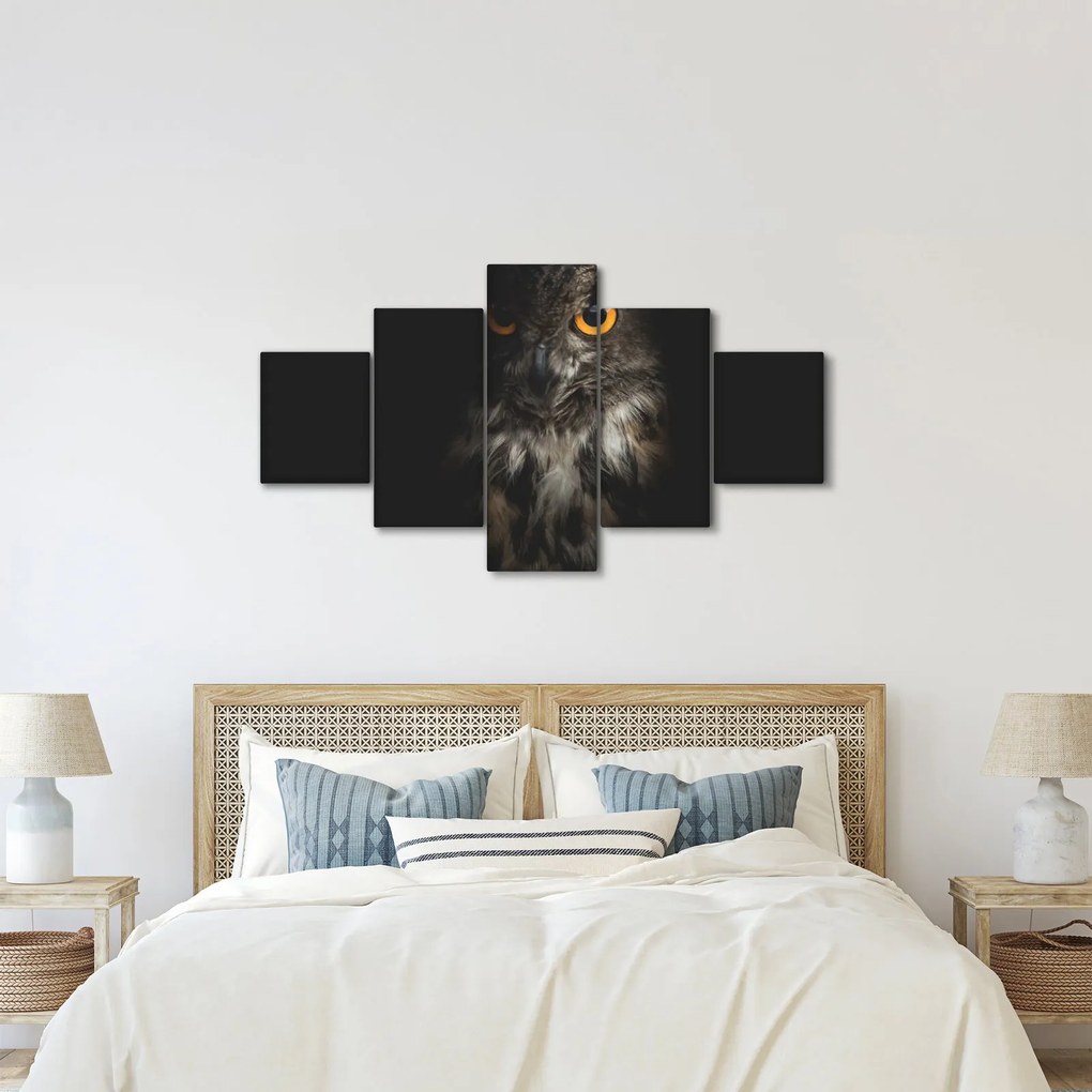 Obraz sowy (125x70 cm)