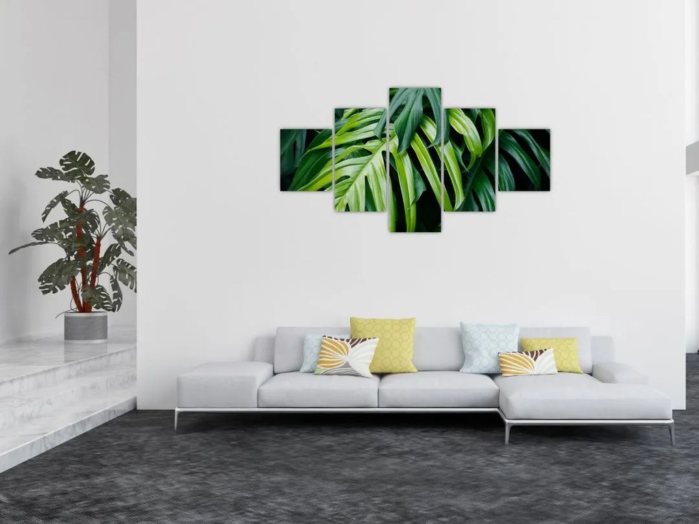 Obraz - Tropikalne liście (125x70 cm)