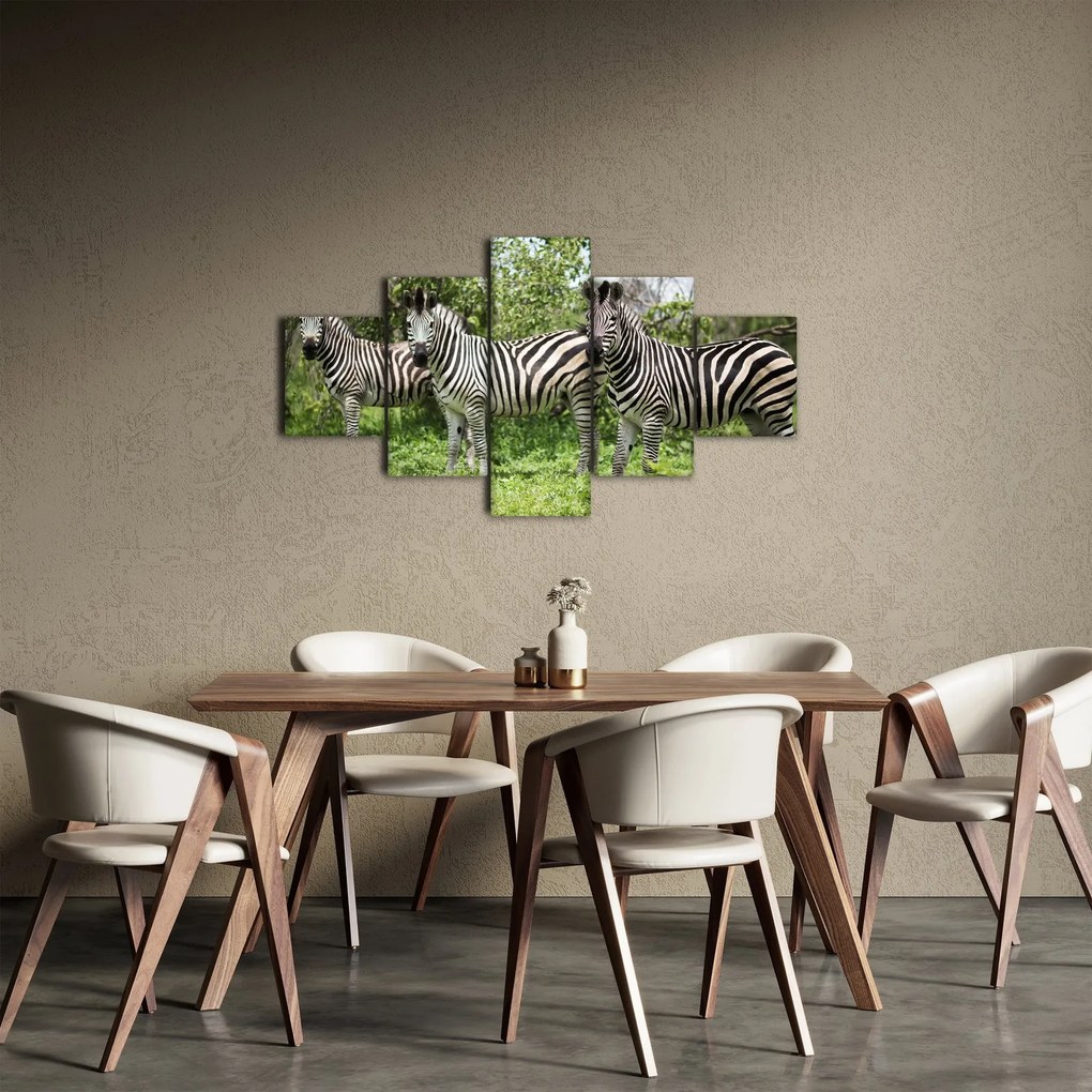 Obraz z zebrami (125x70 cm)