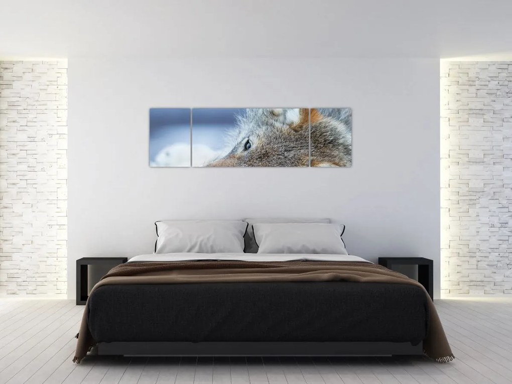 Obraz - Wilk (170x50 cm)