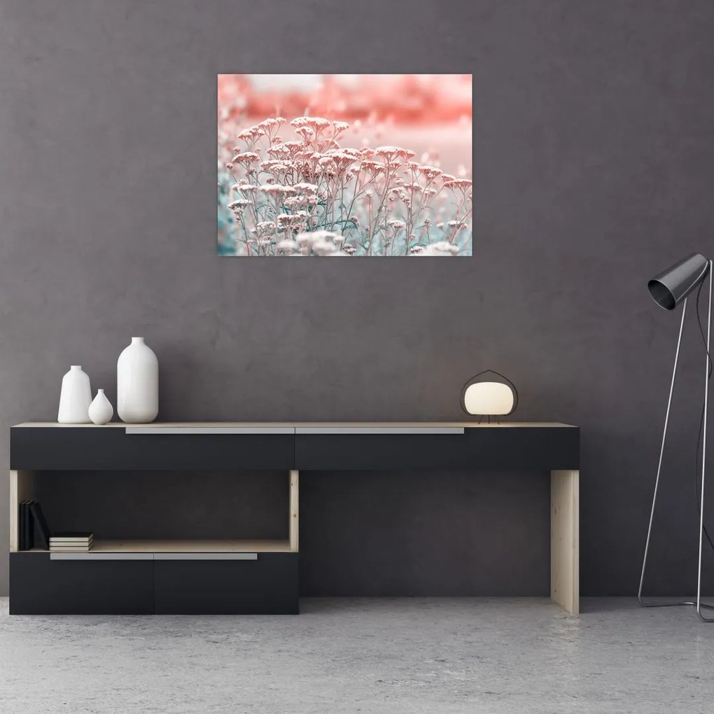 Obraz - Kwiaty polne (70x50 cm)