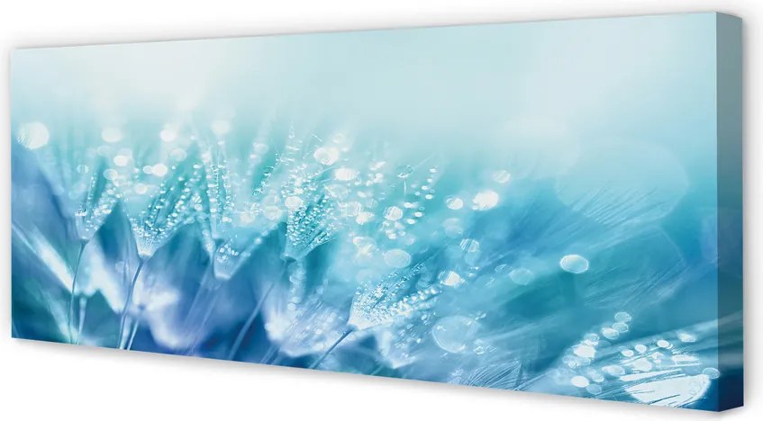 Obraz na płótnie Artystyczna Wizja Dmuchawca