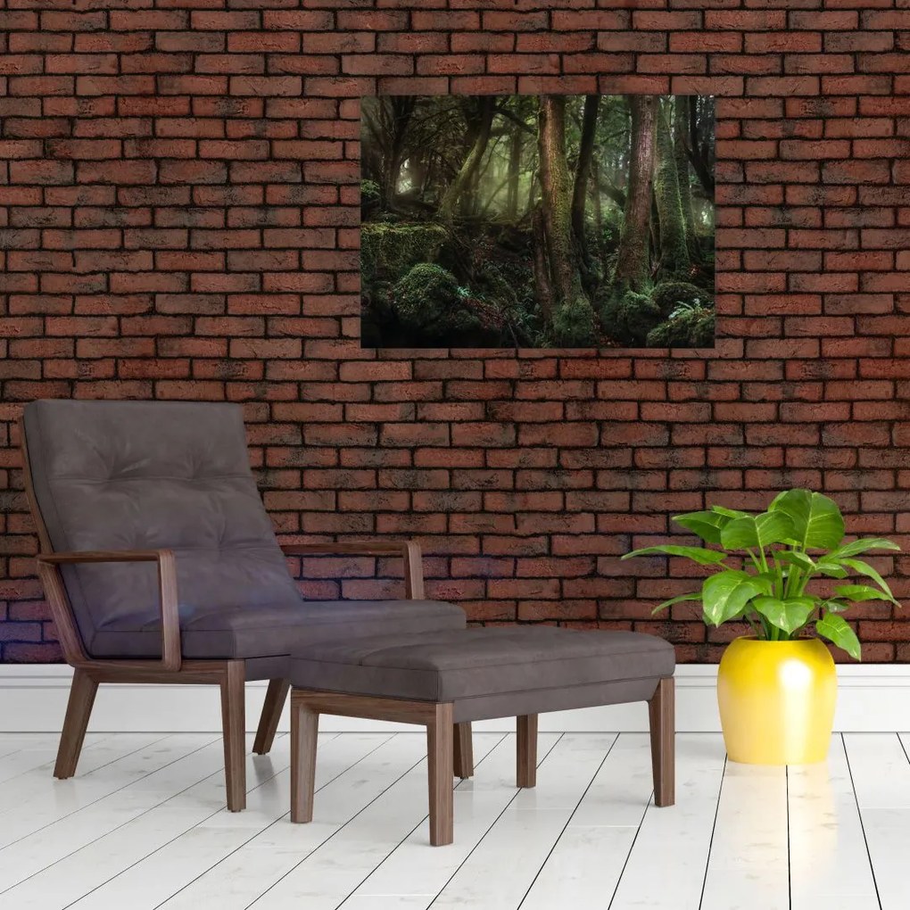 Obraz - Tajemniczy las (70x50 cm)