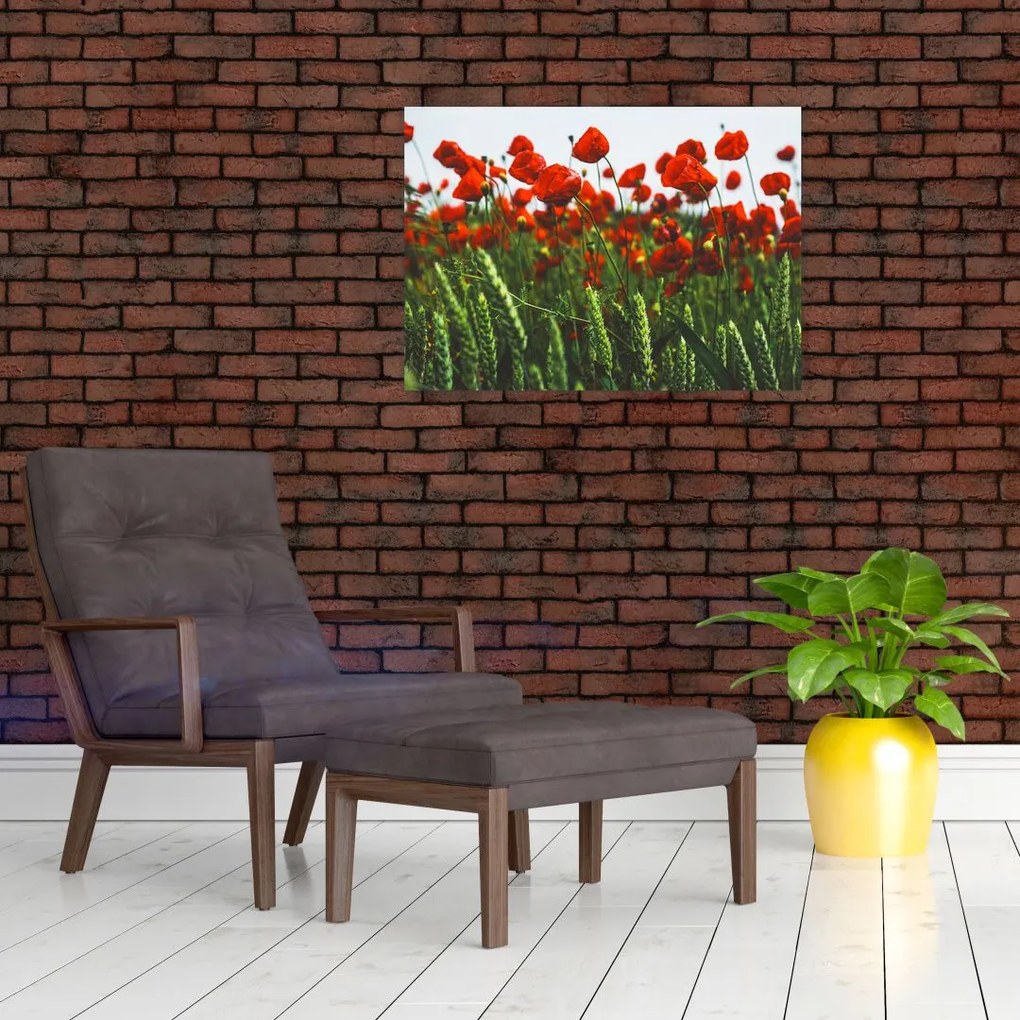 Obraz maków na wietrze (70x50 cm)