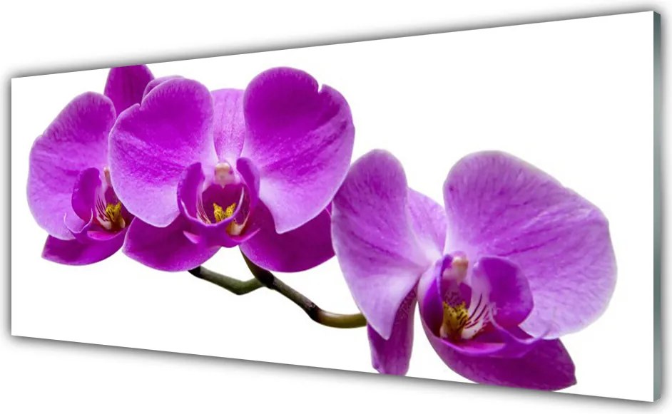 Szkło Ozdobne do Kuchni Romantyczny Akcent Roślinny