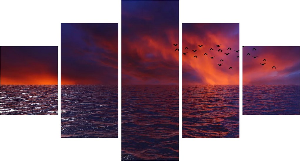 Obraz morza z ptakami (125x70 cm)