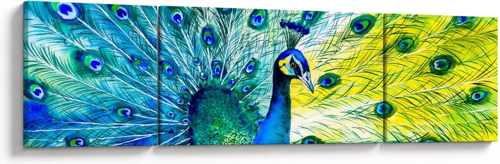 Obraz pawia (170x50 cm)