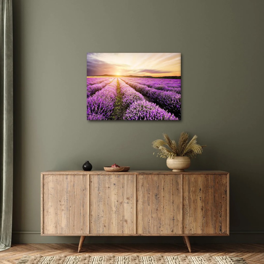 Obraz - Wschód słońca na polu lawendy (70x50 cm)