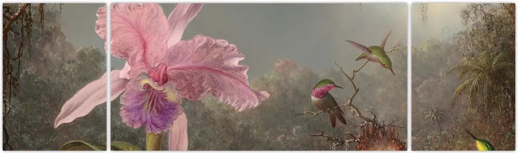 Obraz - Martin Johnson Heade, Cattleya Orchid and Three Hummingbirds, reprodukcje (170x50 cm)