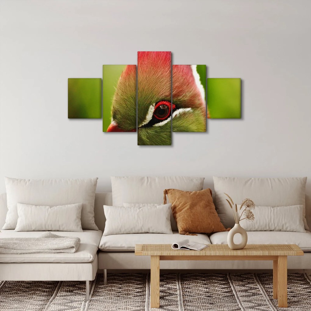Obraz kolorowego ptaka (125x70 cm)