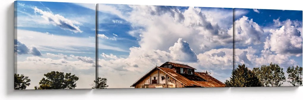 Obraz pola słoneczników (170x50 cm)