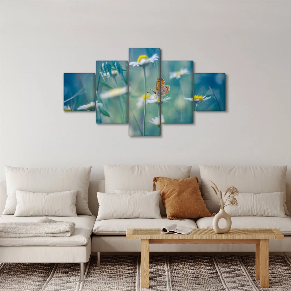 Obraz - Motyl na stokrotce (125x70 cm)