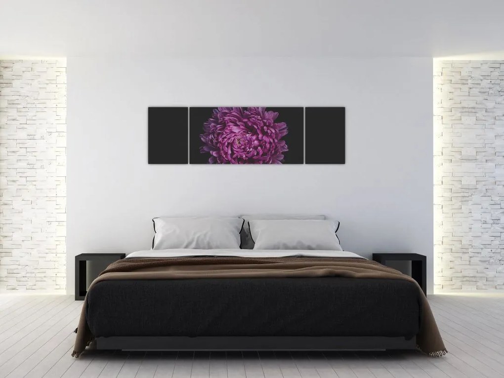 Obraz fioletowego kwiatu (170x50 cm)