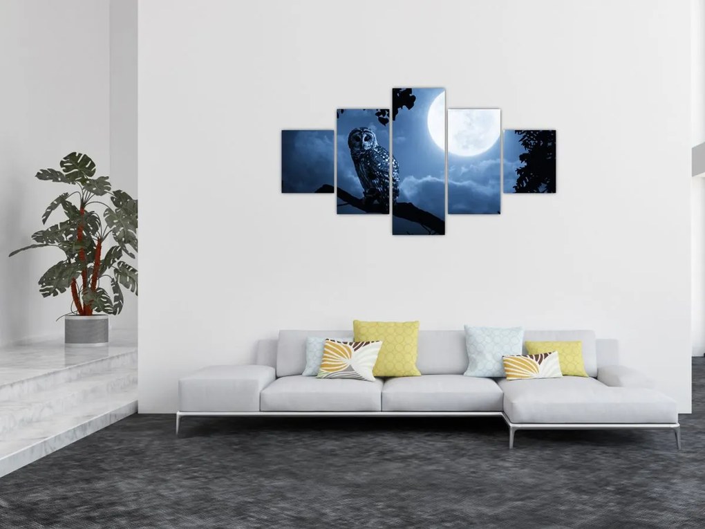 Obraz - Nocna Sowa (125x70 cm)