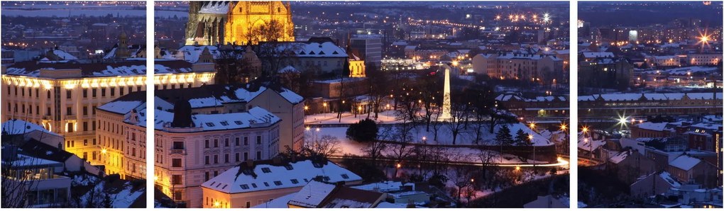 Obraz - Katedra św. Piotra i Pawła, Brno, Czechy (170x50 cm)