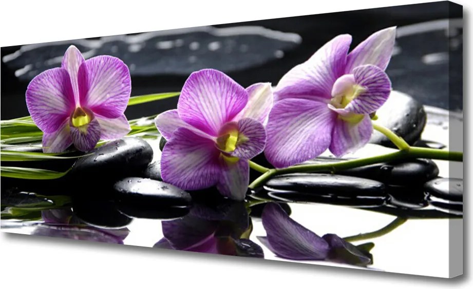 Obraz na płótnie Biała Orchidea na Płótnie