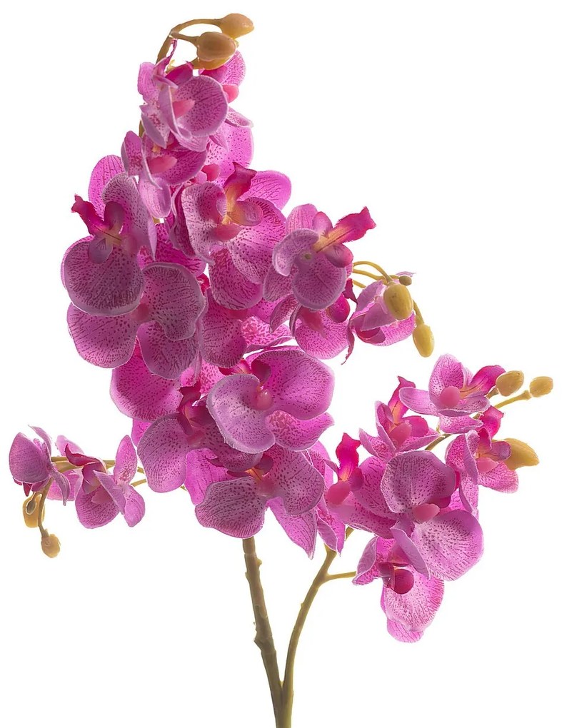 Kwiat Orchid Fuchsia 55cm