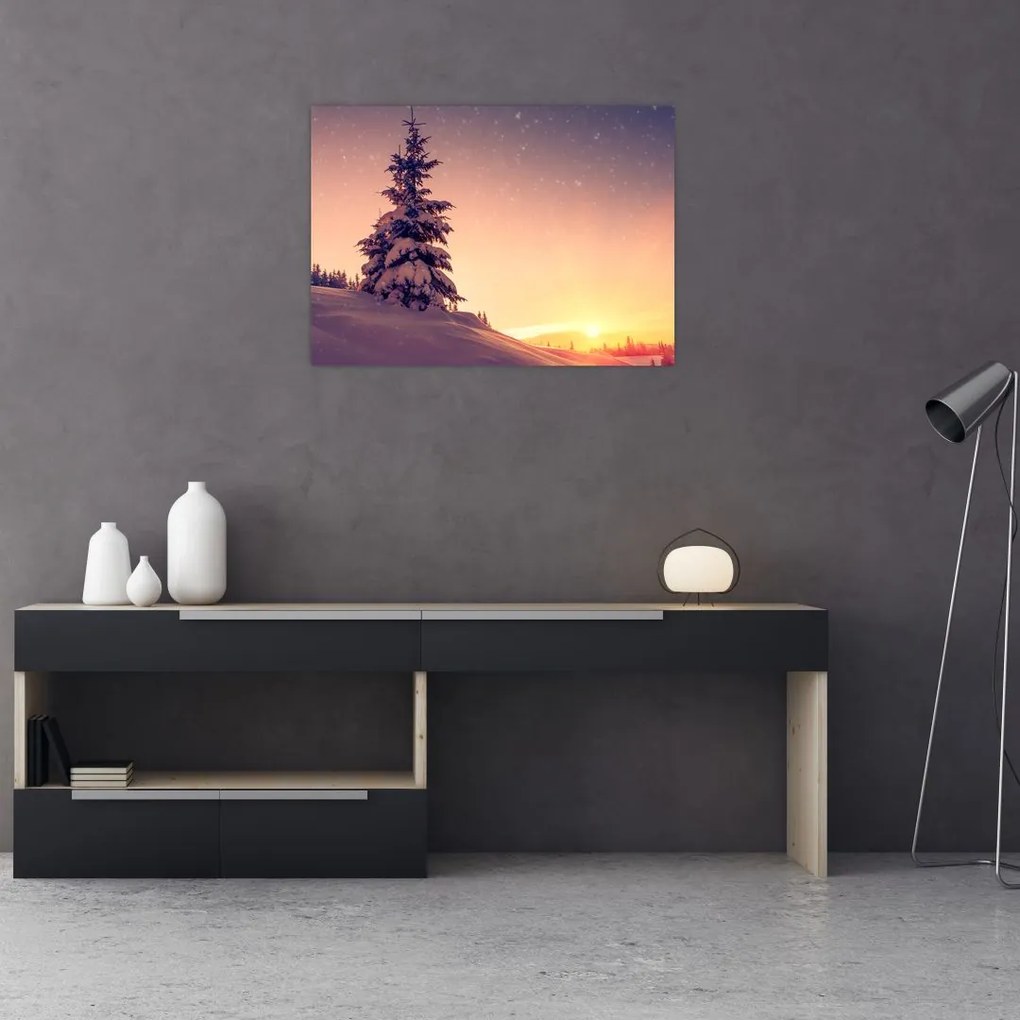 Obraz na szkle - ośnieżone drzewo na łące (70x50 cm)