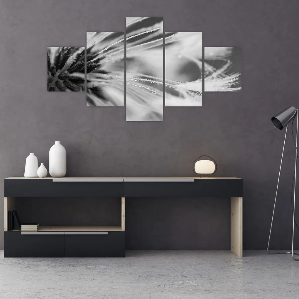 Obraz - Makro, czarno - biały (125x70 cm)
